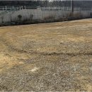 프로공인중개사사무소 | 진주에서 최적의 원룸 찾기, 프로공인중개사사무소가 도와드립니다