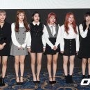 위키미키 카카오 검색결과