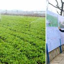 사동농장 이미지