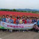 대한노인회부설노인대학 이미지