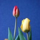 스마트폰사진인화 - 광주시 경안로25번길 14 | 스마트폰사진인화