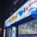 싱싱산오징어 이미지