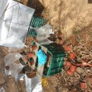 선미농장 이미지