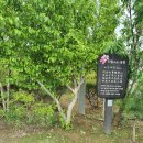 도원농장 이미지