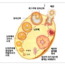 예가 한의원 이미지