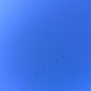 (주)알뜰