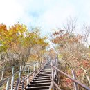 동학사약국 이미지