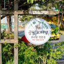 UR(파주시)-[교하로]-상-41 | 파주 아울렛 맛집 정성가득한 한 상