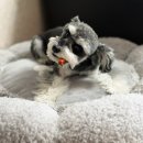 빈이맘마 이미지