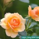 화정한의원 이미지