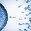 선메디칼(Sun medical) 이미지