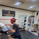 스파르타복싱체육관 이미지