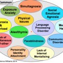 감정표현불능증(Alexithymia)은 자폐증의 한 국면 이미지