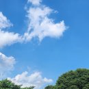 둠지능이버섯백숙 | 포천 백운계곡 바로 앞 백운계곡캠핑장 정보 등 글램핑 불멍 포천 1박2일 여행 후기