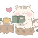 하은마켓 - 양천구 | 하은마켓