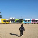 도창초등학교 이미지