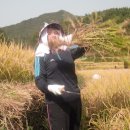 교리농장 이미지