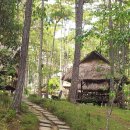 달랏(DA LAT) 이미지