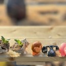 바다노을 민박 이미지