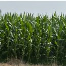 초록요양원 이미지