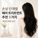 (주)알파라인랩비즈니스 | 손상 단계별 헤어 트리트먼트 추천 5가지｜헤어팩·케라틴·LPP