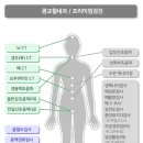 광교윌