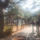 관동팔경 녹색경관길 | 해파랑길 34코스 한국여성수련원~망상해변~대진항~묵호역입구, 2026/02/21(토)