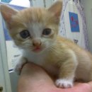 한얼동물병원 이미지