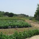 송시마을회관 이미지