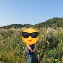 문리버(카페) 화장실 이미지