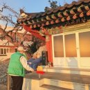 석류애견 이미지