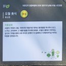 오월어린이공원 | 2026년 청주 가드닝 페스티벌(생명누리공원) 방문 후기