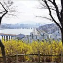 달맞이근린공원 이미지