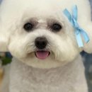 몽개구름 이미지