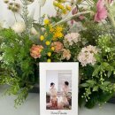 장  광 | 만삭사진 자연광스튜디오 배냇스튜디오 촬영 후기