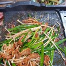 오리나라 이미지