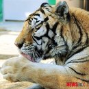 유동물원 이미지