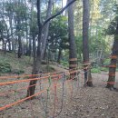 민오름 | 제주도 공항 근처 아이랑 가볼만한 곳 숲놀이터가 있는 민오름 후기