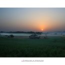 새벽목장 이미지