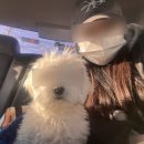 뭉구르밍 이미지