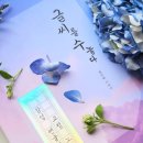 도전 악필탈출 이미지