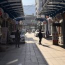 동송애견샵 | 철원동송 카페독스 애견미용 이용후기