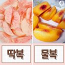 딱복? 물복? 이미지