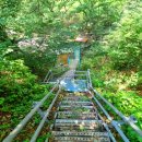 깊은산속맑은공기민박 | 청도독채펜션 추천! 힐링 그 자체인 경북 청도 펜션 '깊은산속맑은공기펜션' 방문기