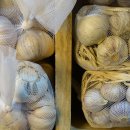 옹진행정사 이미지