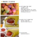 대박4농장 이미지