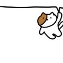 스테이사암 이미지