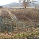 영산공인중개사사무소 이미지