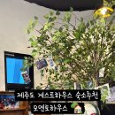 모멘토하우스 이미지