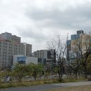 대연3동 행정복지센터 이미지